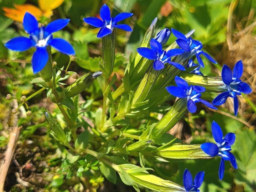 Naturwunder mit Hüttenzauber